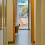 Beach Suite Cotillo Lejlighed *